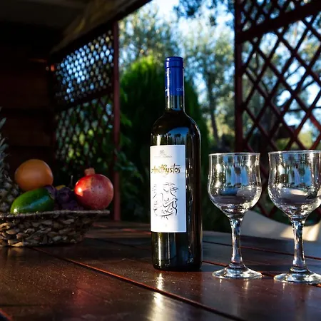 Apartament Agroktima Elia *