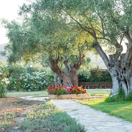 Agroktima Elia Nafplio