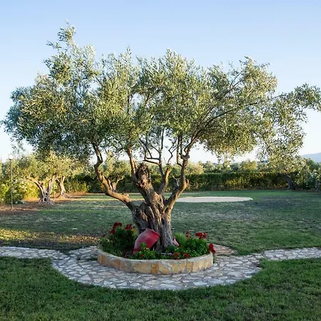 Agroktima Elia * Nafplio
