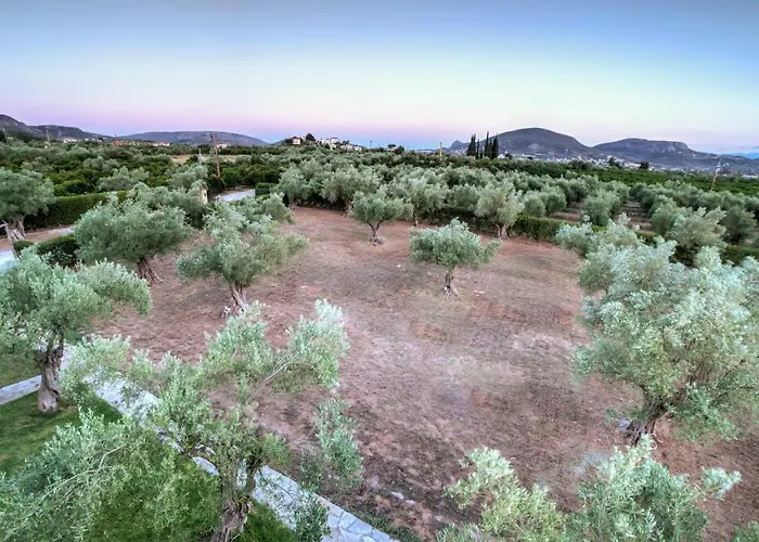 Lägenhet Agroktima Elia