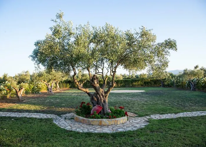 Agroktima Elia * Nafplio